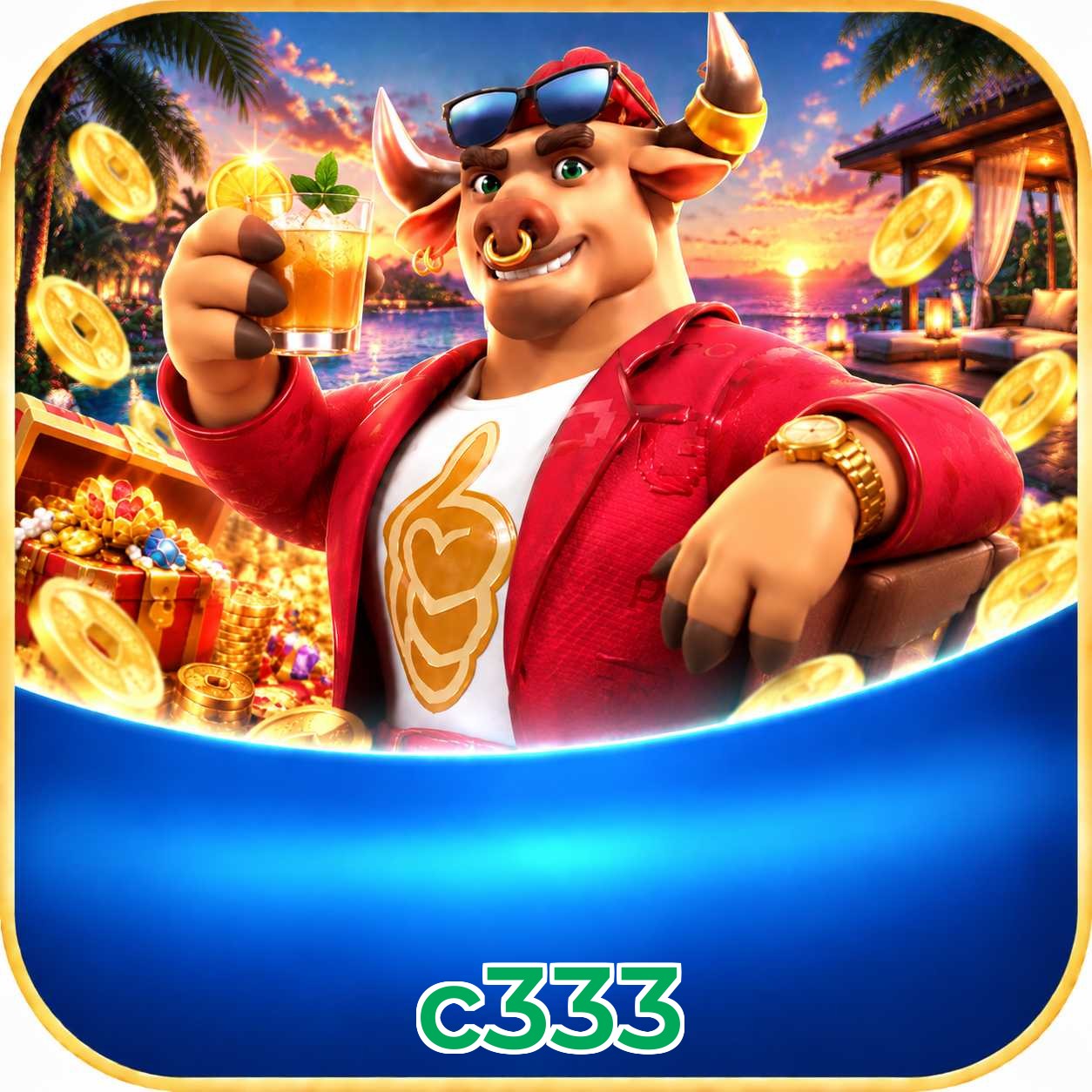 c333 FAQ