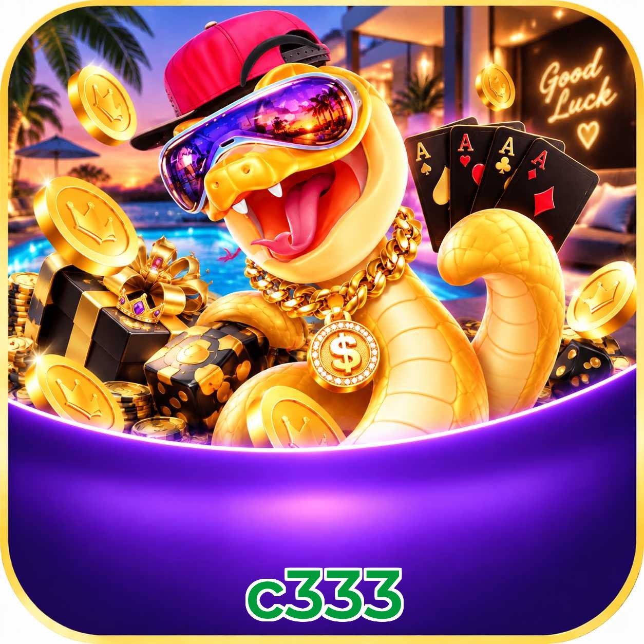 c333 VIP Program