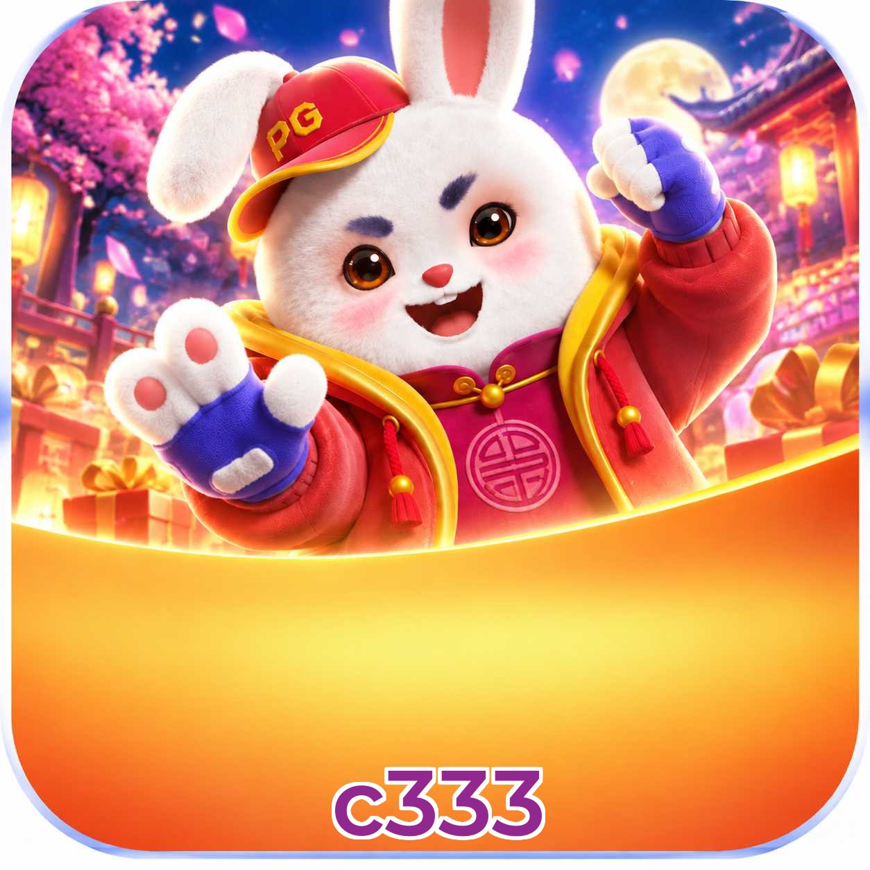 c333 Security